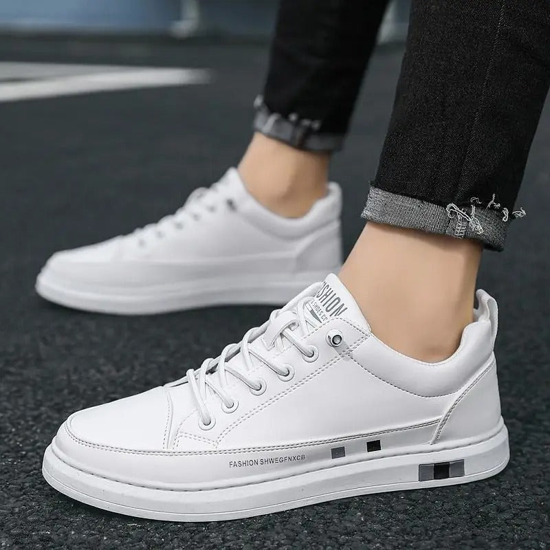 gid://shopify/MediaImage/24691967131742